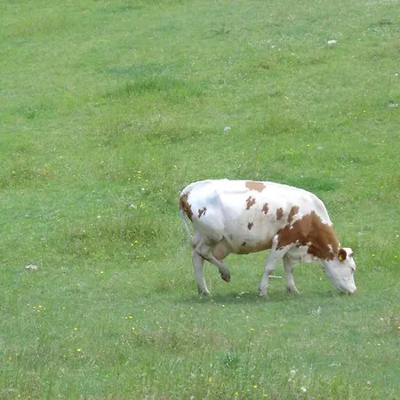 Le Prata Vakantieboerderij *