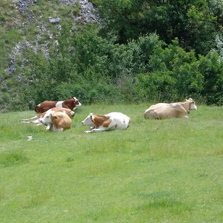 Le Prata Vakantieboerderij *